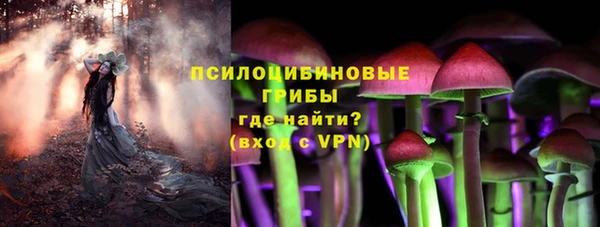 прущая мука Кодинск