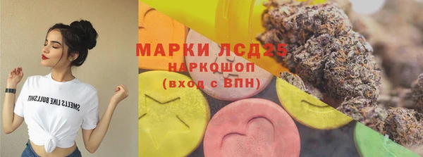 прущий лед Корсаков