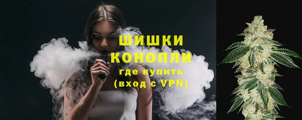 молекула духа Козловка