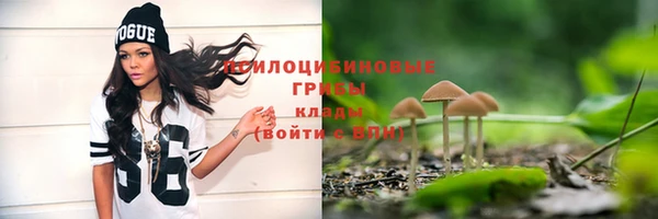мяу мяу кристалл Ленинск-Кузнецкий