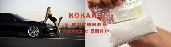 индика Коряжма