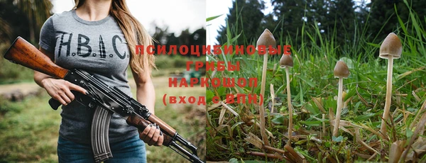 ГАЛЛЮЦИНОГЕННЫЕ ГРИБЫ Козельск