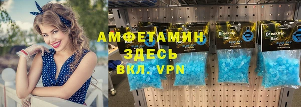 индика Коряжма