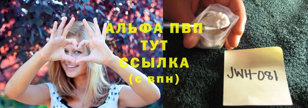 прущий лед Корсаков