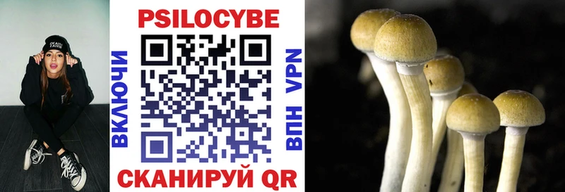 Галлюциногенные грибы Cubensis  Малгобек 
